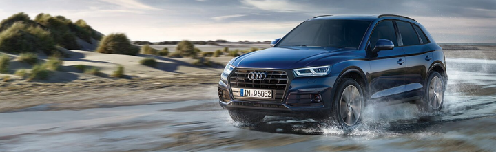 Programa Approved Plus